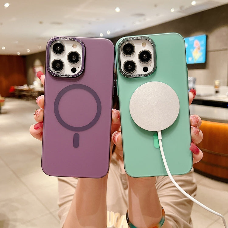For iPhone 11 Pro Golden Shield Frosted Semi-transparent MagSafe PC Phone Case