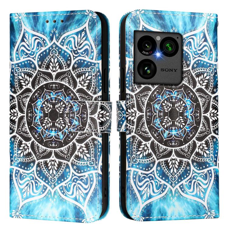 For Sony Xperia 1 VIII Colored Drawing Pattern Plain Weave Leather Phone Case