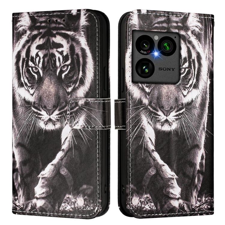 For Sony Xperia 1 VIII Colored Drawing Pattern Plain Weave Leather Phone Case