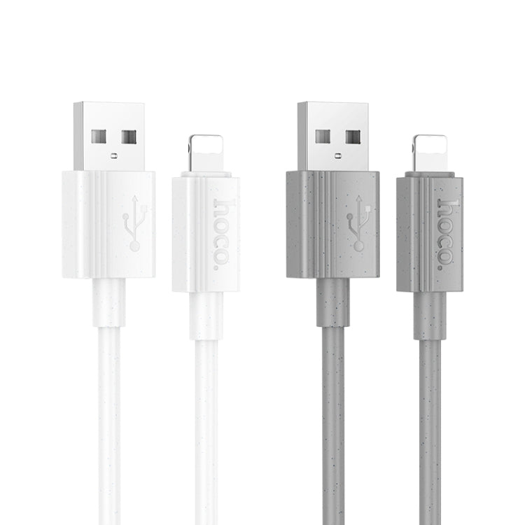 hoco X107 USB to 8 Pin Favor 2.4A Charging Data Cable, Length:1m