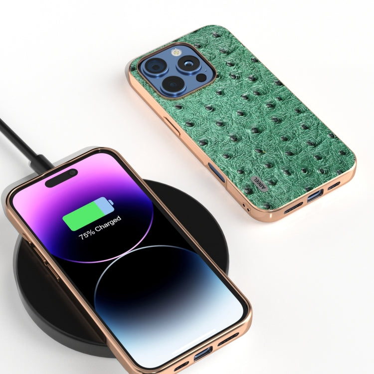For iPhone 16 Pro Max ABEEL Electroplating Frame Genuine Leather Ostrich Texture Phone Case