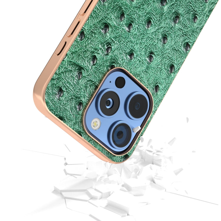 For iPhone 16 Pro Max ABEEL Electroplating Frame Genuine Leather Ostrich Texture Phone Case