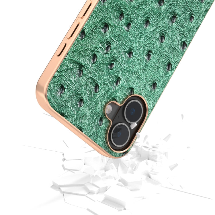 For iPhone 16 ABEEL Electroplating Frame Genuine Leather Ostrich Texture Phone Case