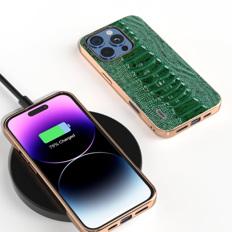 For iPhone 16 Pro ABEEL Electroplating Frame Genuine Leather Weilai Series Phone Case