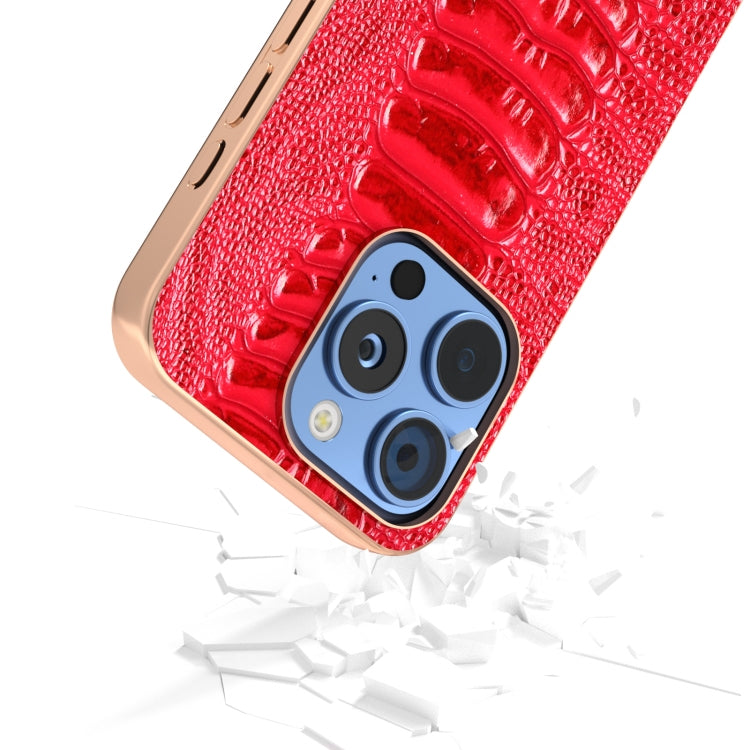 For iPhone 16 Pro ABEEL Electroplating Frame Genuine Leather Weilai Series Phone Case
