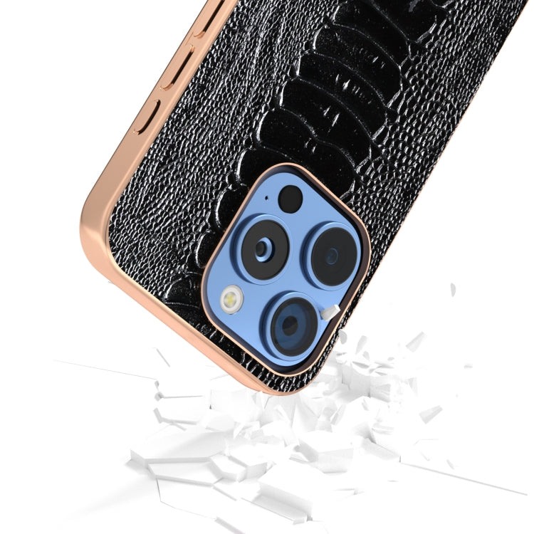 For iPhone 16 Pro ABEEL Electroplating Frame Genuine Leather Weilai Series Phone Case
