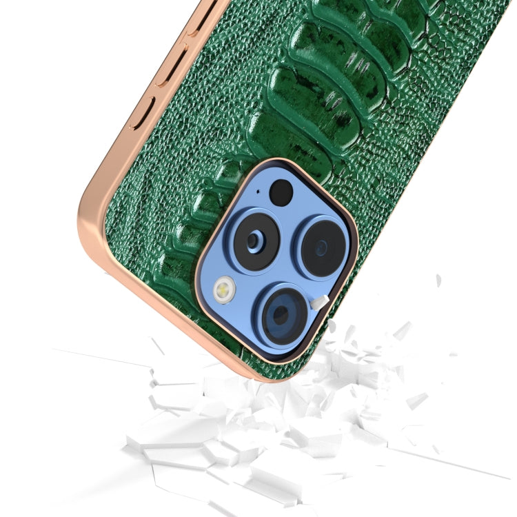 For iPhone 16 Pro Max ABEEL Electroplating Frame Genuine Leather Weilai Series Phone Case