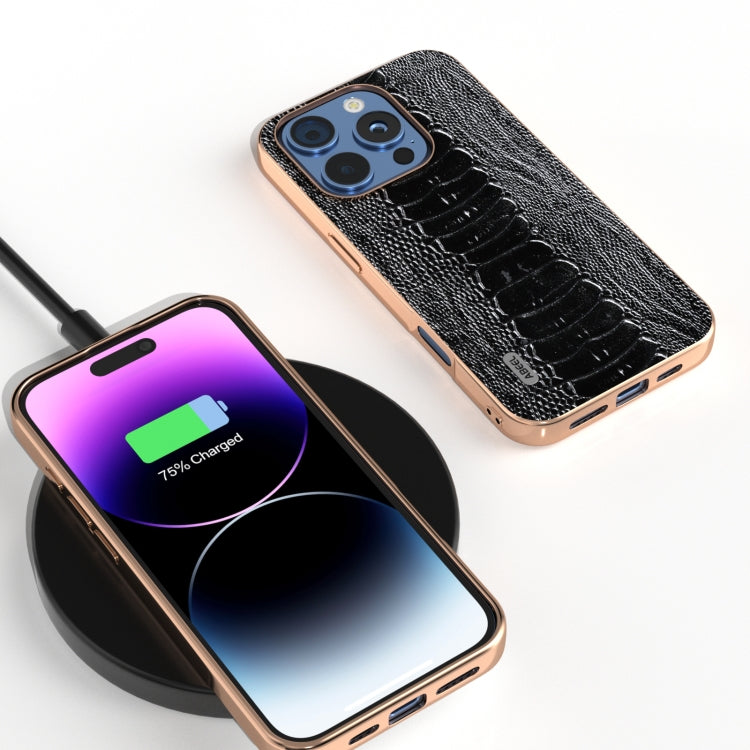 For iPhone 16 Pro Max ABEEL Electroplating Frame Genuine Leather Weilai Series Phone Case