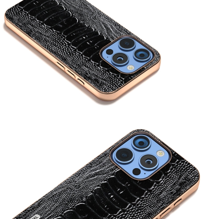For iPhone 16 Pro Max ABEEL Electroplating Frame Genuine Leather Weilai Series Phone Case