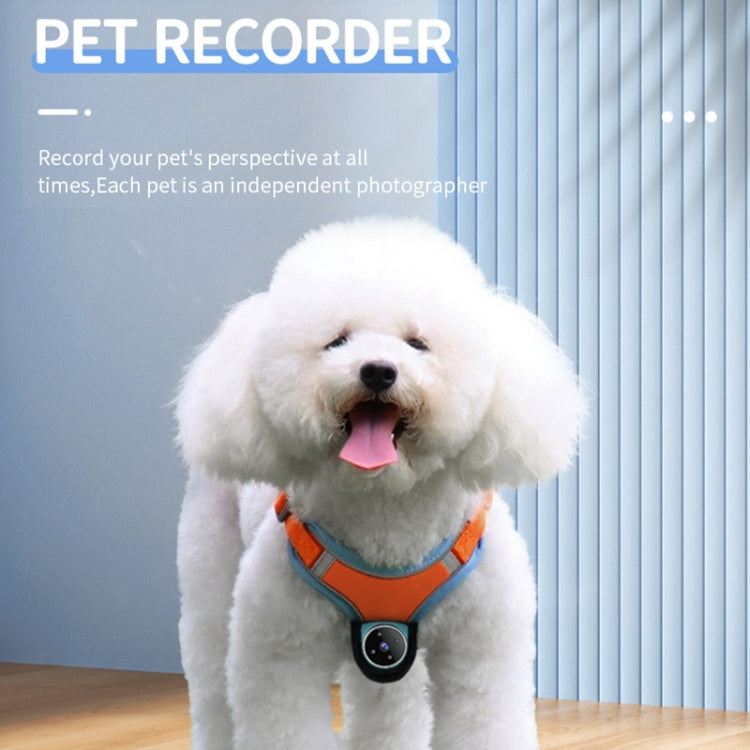 A9 Pet Recorder Tracking Playback IPX6 Waterproof - White