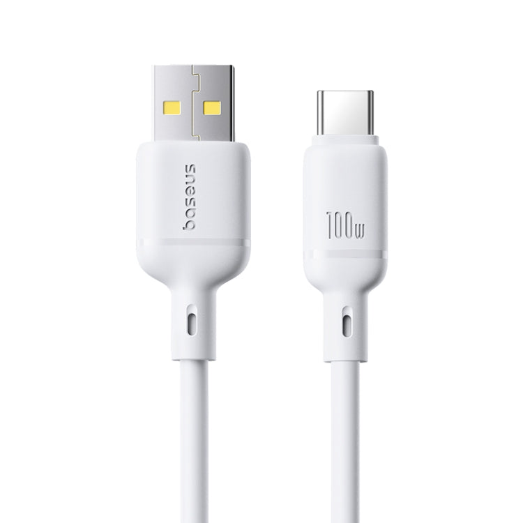 Baseus Silky Series 1m 100W USB to USB-C / Type-C Fast Charging Cable