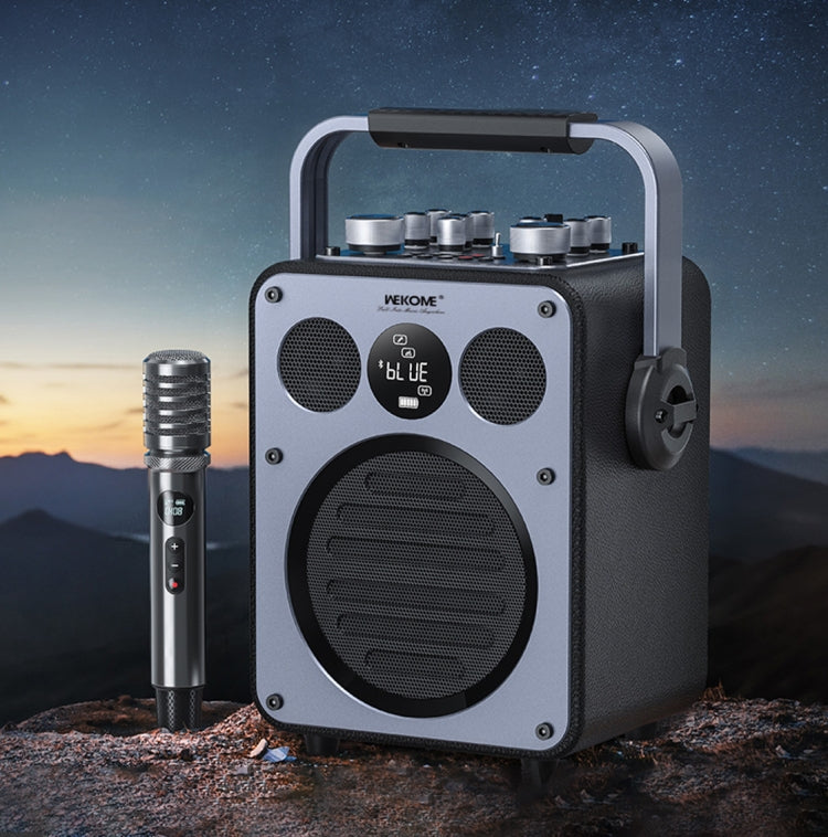 WK Beluga D7 Conductor HiFi Outdoor Portable Bluetooth Speaker - Black