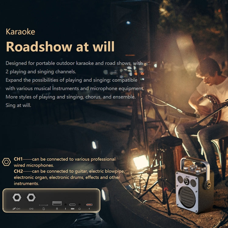 WK Beluga D7 Conductor HiFi Outdoor Portable Bluetooth Speaker - Black