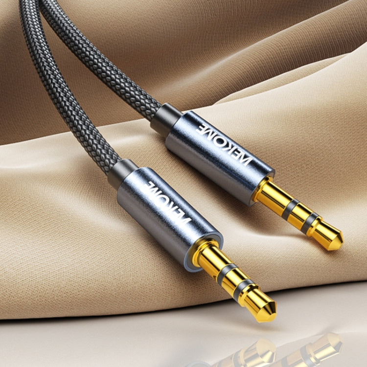 WK WDC-195 1m Geeker 3.5mm TRS AUX Audio Cable - Tarnish