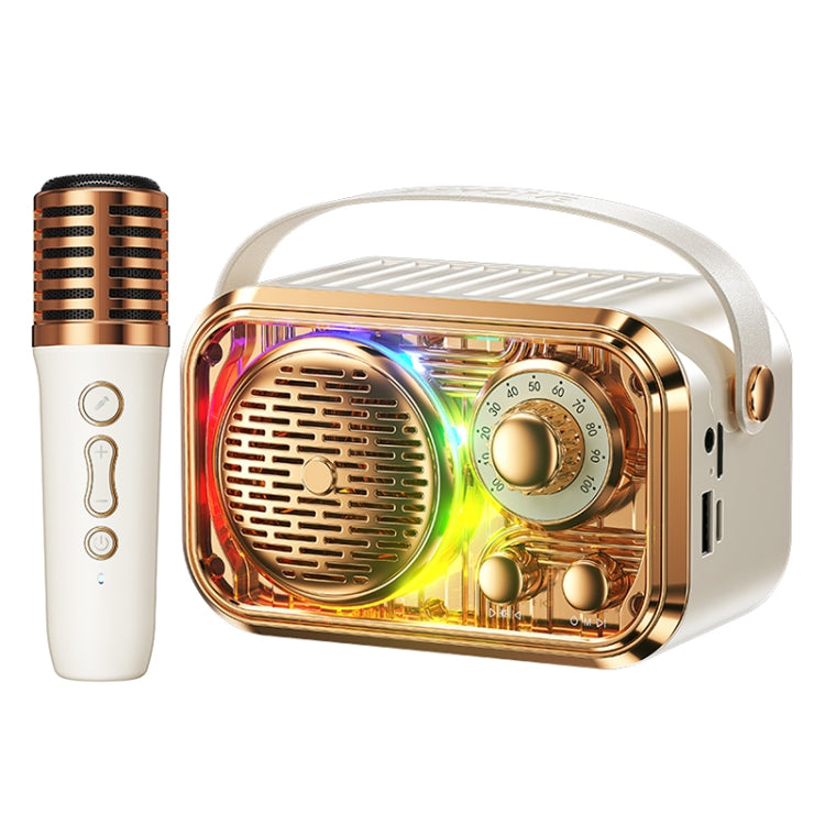 WEKOME WD-03 Meytang Karaoke Wireless Bluetooth Speaker