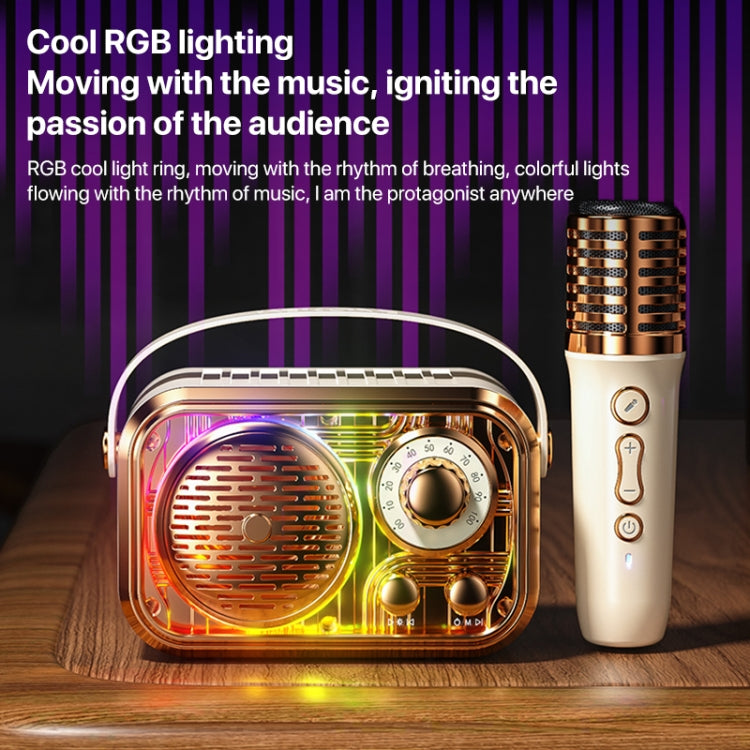 WEKOME WD-03 Meytang Karaoke Wireless Bluetooth Speaker