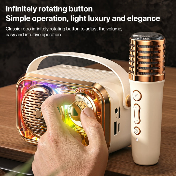 WEKOME WD-03 Meytang Karaoke Wireless Bluetooth Speaker