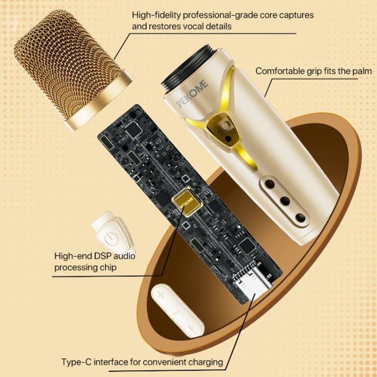WEKOME Beluga 17 Lyrixing Lyrics Display Wireless Bluetooth Speaker