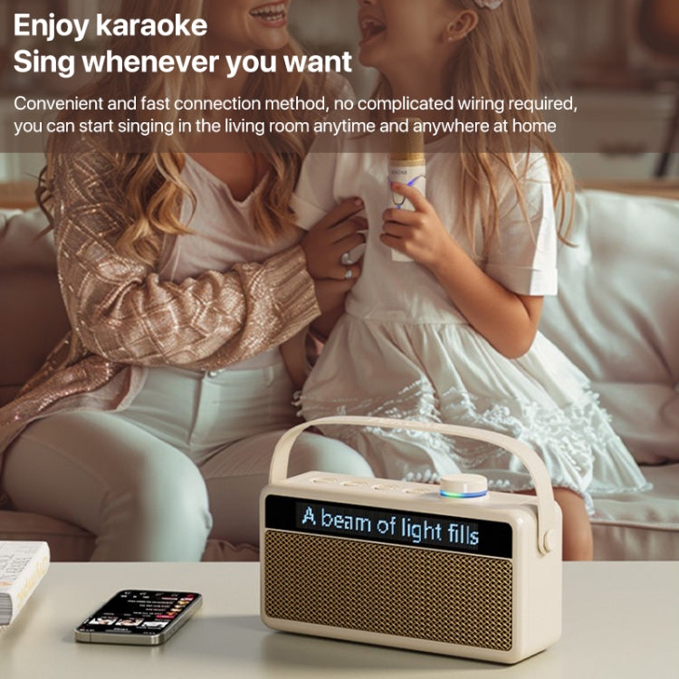 WEKOME Beluga 17 Lyrixing Lyrics Display Wireless Bluetooth Speaker