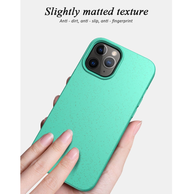 For iPhone 12 mini Starry Series Shockproof Straw Material + TPU Protective Case