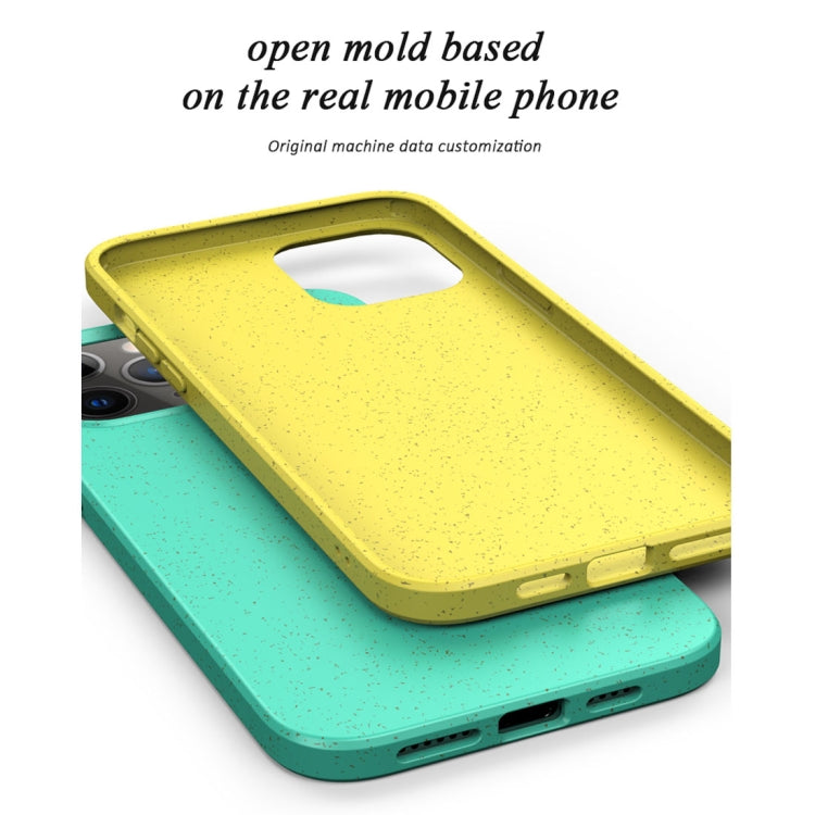 For iPhone 12 Pro Max Starry Series Shockproof Straw Material + TPU Protective Case