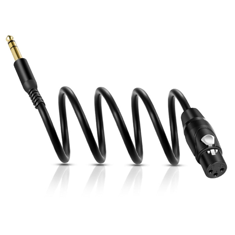 6.35mm to XRL Canon Female Dual Channel Microphone Audio Cable, Length:2m - Black