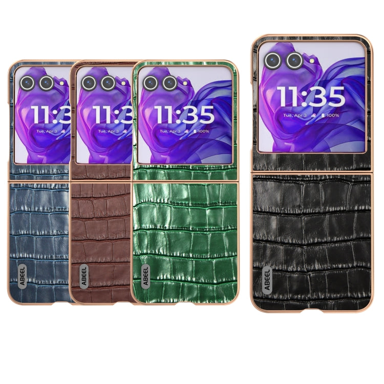 For Motorola Razr 50 ABEEL Electroplating Frame Crocodile Texture Genuine Leather Phone Case