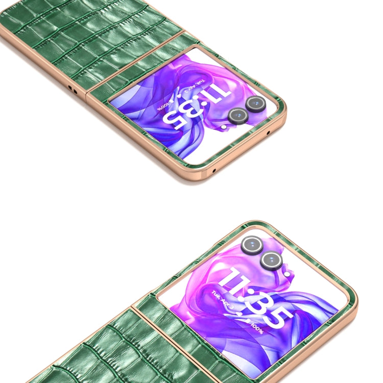 For Motorola Razr 50 ABEEL Electroplating Frame Crocodile Texture Genuine Leather Phone Case
