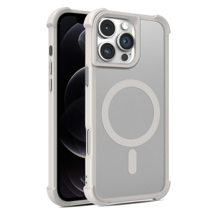 For iPhone 12 / 12 Pro Skin Feel MagSafe Phone Case