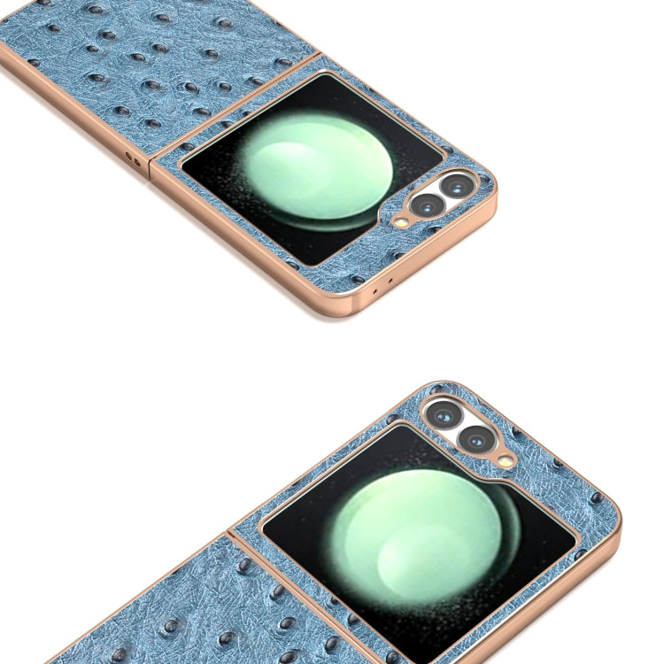 For Samsung Galaxy Z Flip6 / Flip7 FE ABEEL Electroplating Frame Genuine Leather Ostrich Texture Phone Case