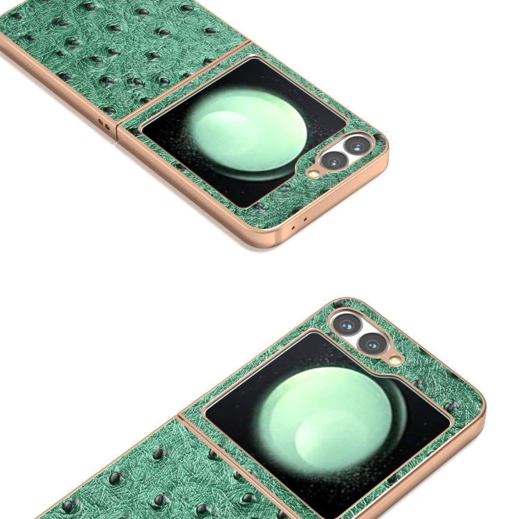 For Samsung Galaxy Z Flip6 / Flip7 FE ABEEL Electroplating Frame Genuine Leather Ostrich Texture Phone Case