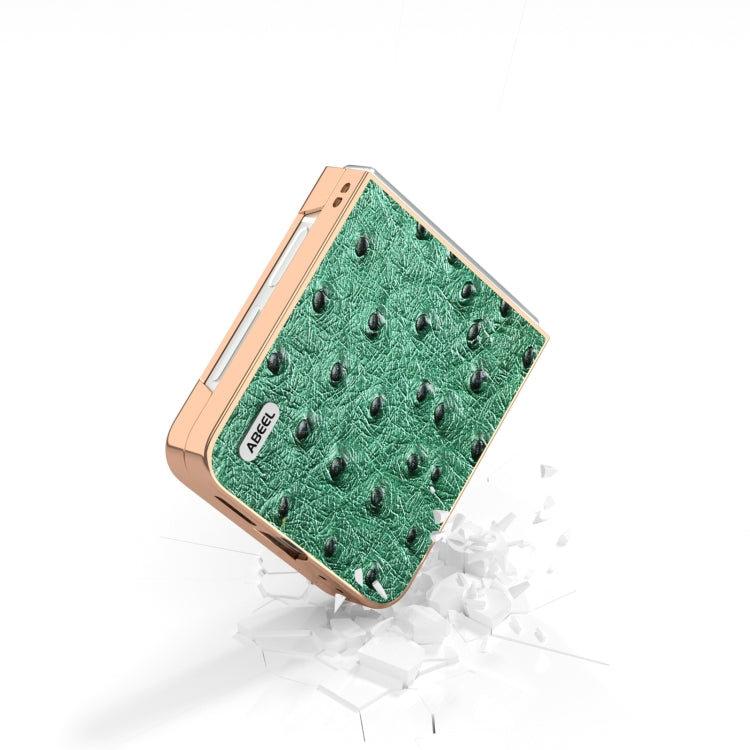 For Samsung Galaxy Z Flip6 / Flip7 FE ABEEL Electroplating Frame Genuine Leather Ostrich Texture Phone Case