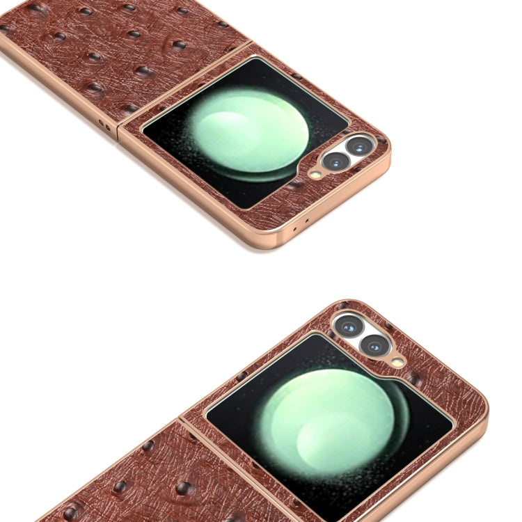 For Samsung Galaxy Z Flip6 / Flip7 FE ABEEL Electroplating Frame Genuine Leather Ostrich Texture Phone Case