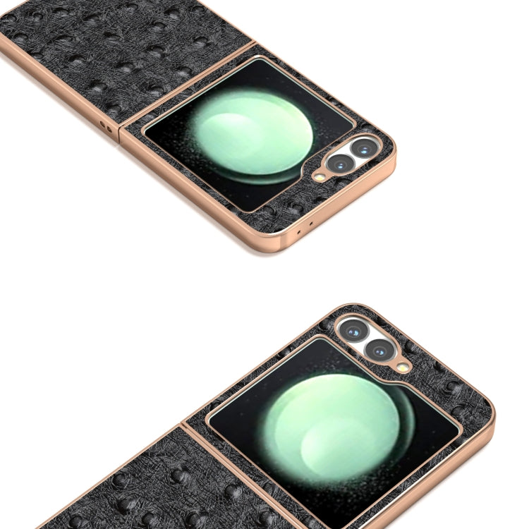 For Samsung Galaxy Z Flip6 / Flip7 FE ABEEL Electroplating Frame Genuine Leather Ostrich Texture Phone Case