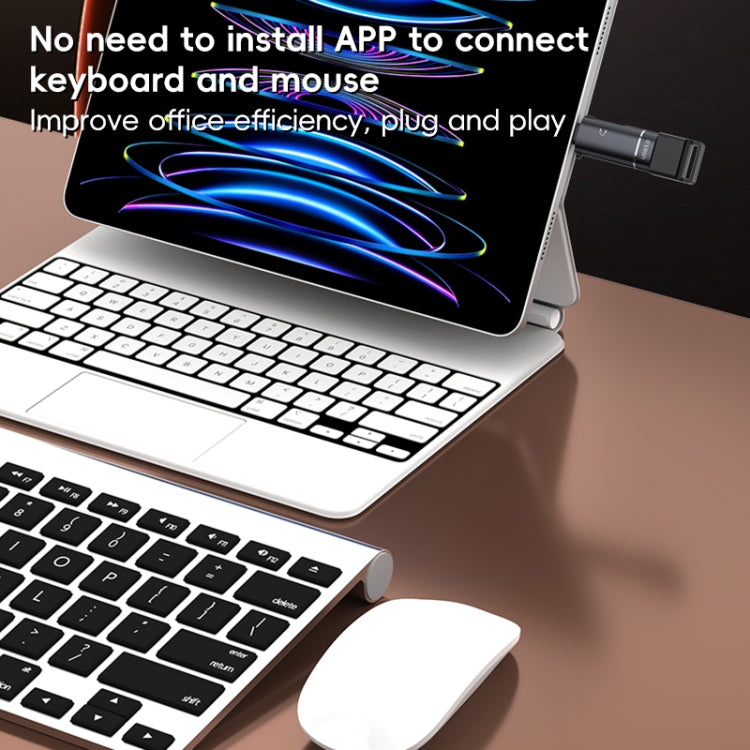 2 in 1 Type-C to USB and Type-C Earphone Adapter