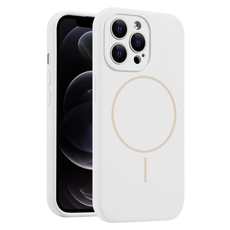 For iPhone 12 Pro Fine Hole Liquid Silicone MagSafe Phone Case