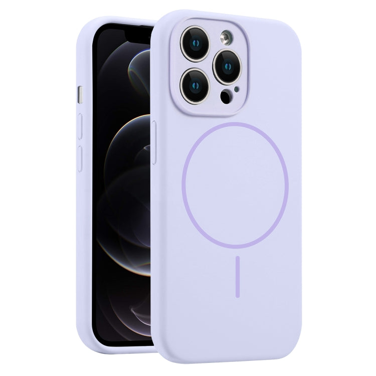 For iPhone 12 Pro Fine Hole Liquid Silicone MagSafe Phone Case