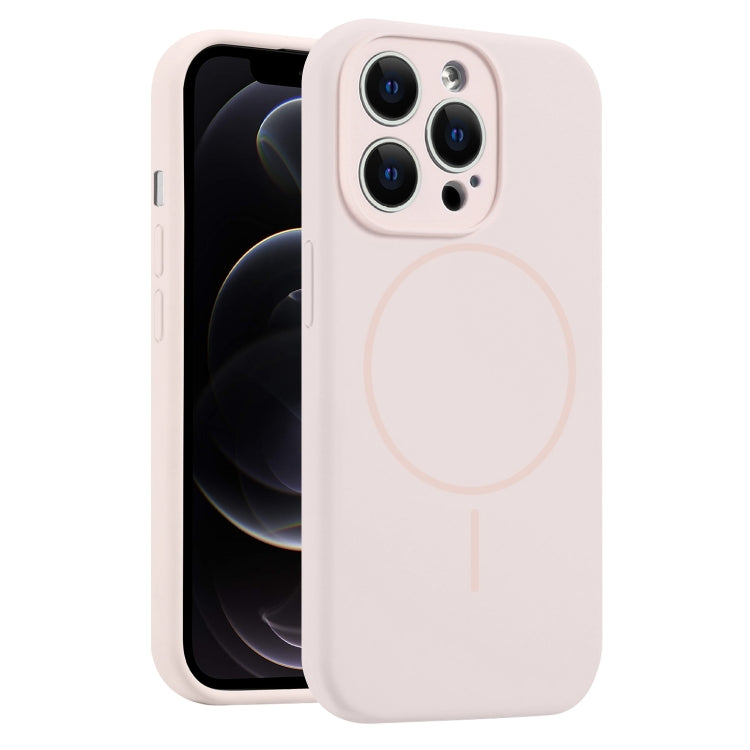 For iPhone 12 Pro Fine Hole Liquid Silicone MagSafe Phone Case