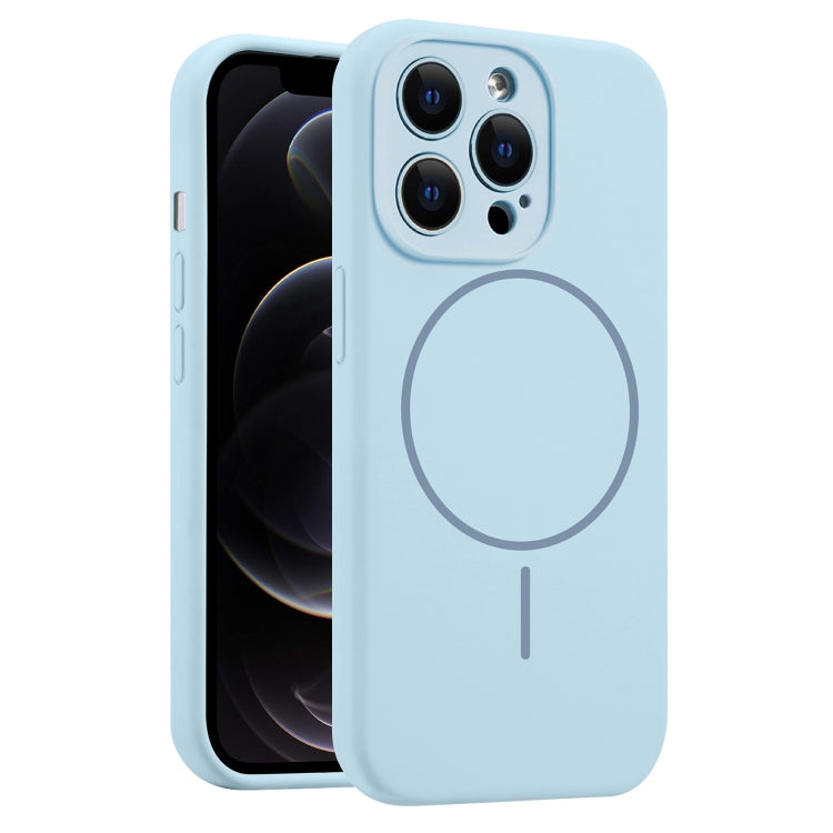 For iPhone 12 Pro Fine Hole Liquid Silicone MagSafe Phone Case