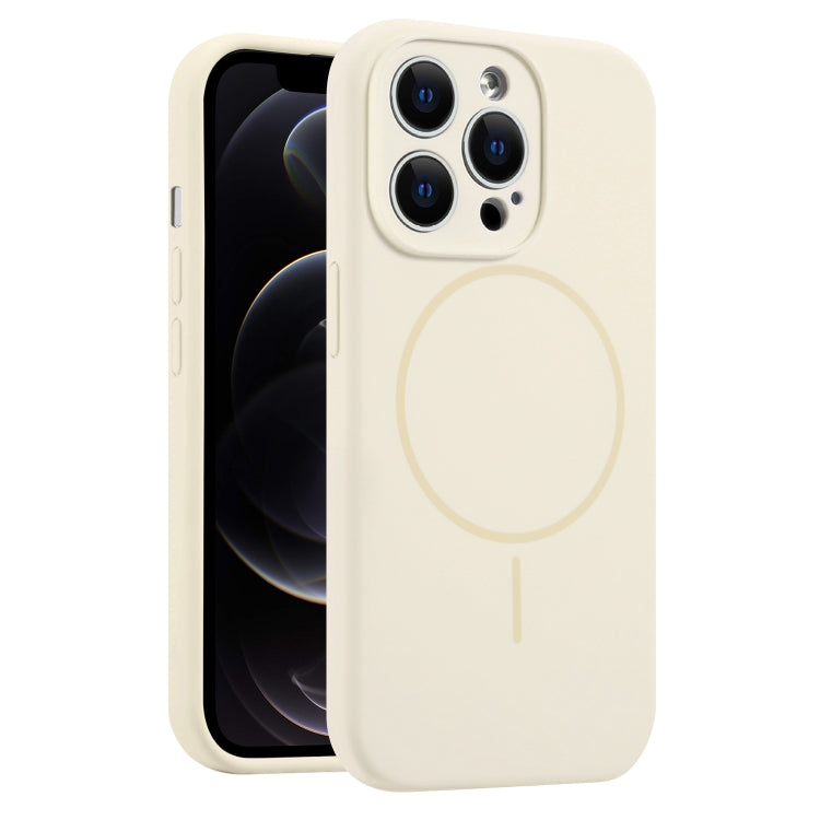 For iPhone 12 Pro Fine Hole Liquid Silicone MagSafe Phone Case