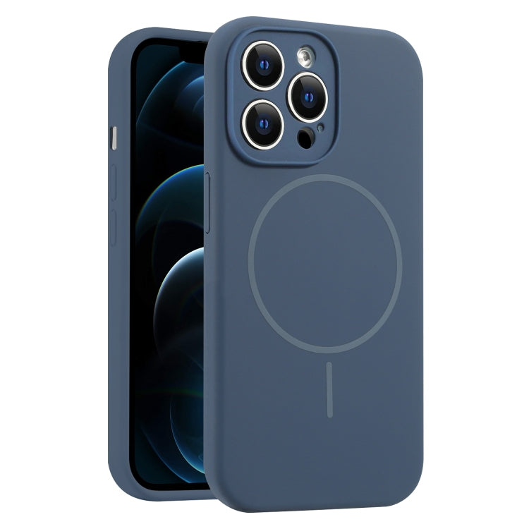 For iPhone 12 Pro Max Fine Hole Liquid Silicone MagSafe Phone Case