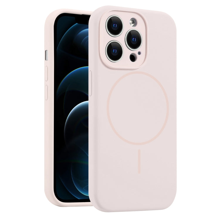 For iPhone 12 Pro Max Fine Hole Liquid Silicone MagSafe Phone Case