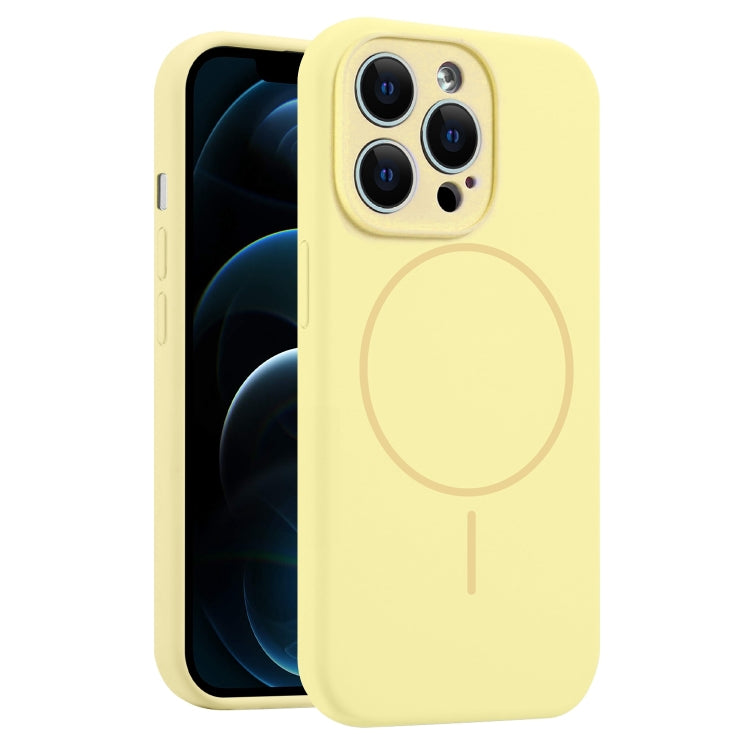 For iPhone 12 Pro Max Fine Hole Liquid Silicone MagSafe Phone Case