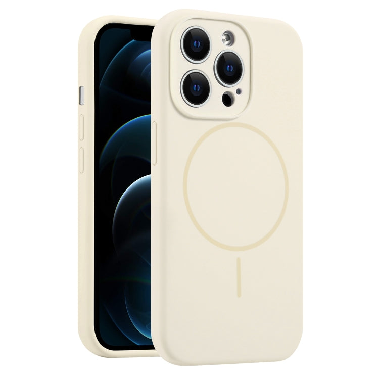 For iPhone 12 Pro Max Fine Hole Liquid Silicone MagSafe Phone Case