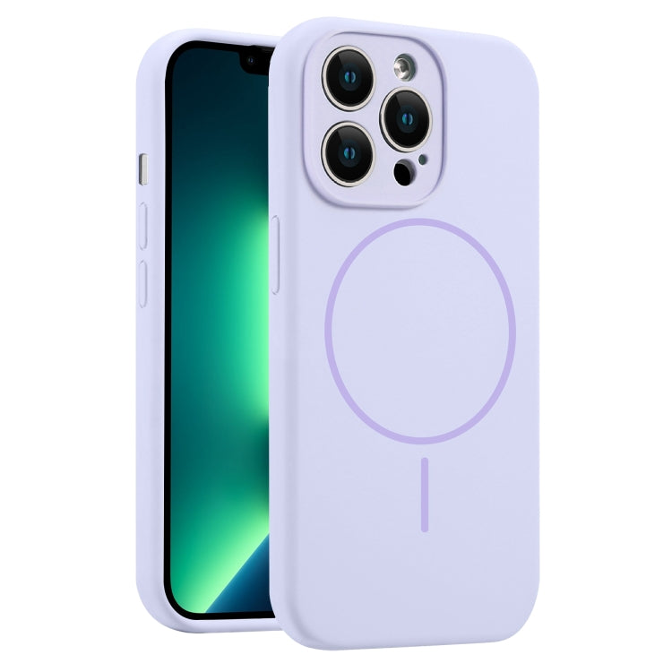 For iPhone 13 Pro Max Fine Hole Liquid Silicone MagSafe Phone Case