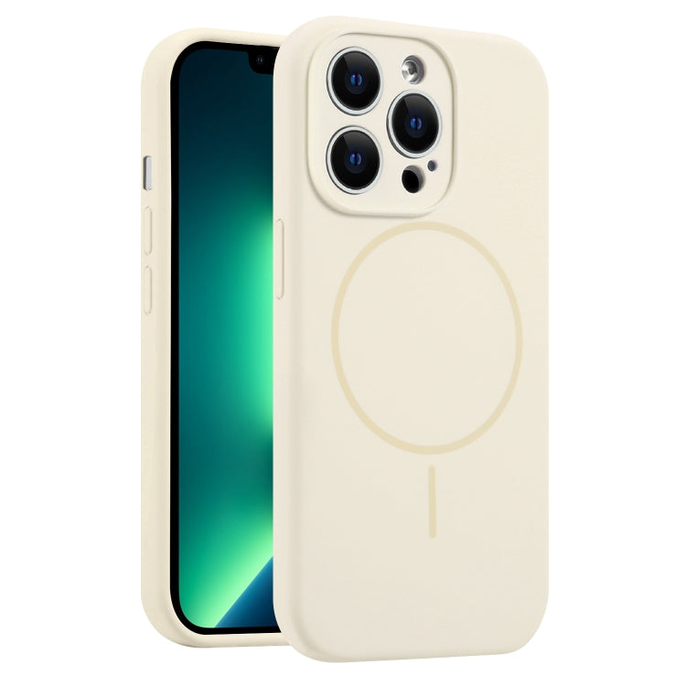 For iPhone 13 Pro Max Fine Hole Liquid Silicone MagSafe Phone Case