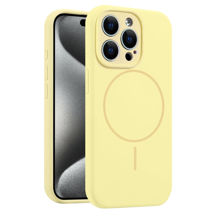 For iPhone 15 Pro Max Fine Hole Liquid Silicone MagSafe Phone Case