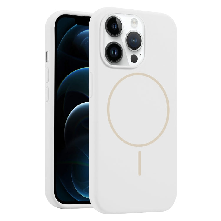For iPhone 12 Pro Max Liquid Silicone MagSafe Phone Case