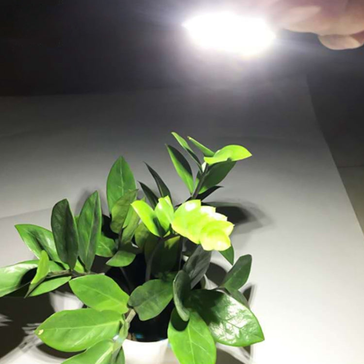3W 6 LEDs SMD 5730 LED Module Lamp Lighting Source