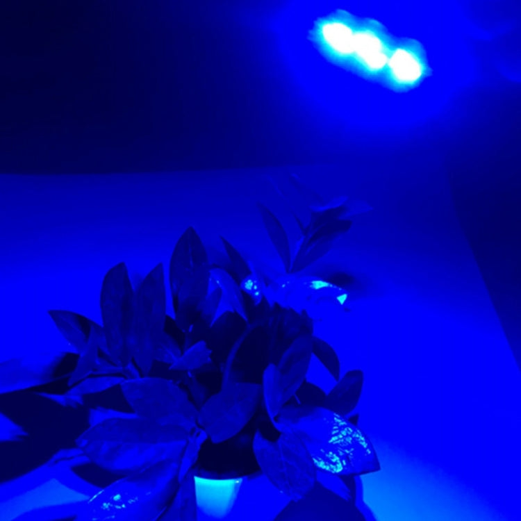 3W 6 LEDs SMD 5730 LED Module Lamp Lighting Source